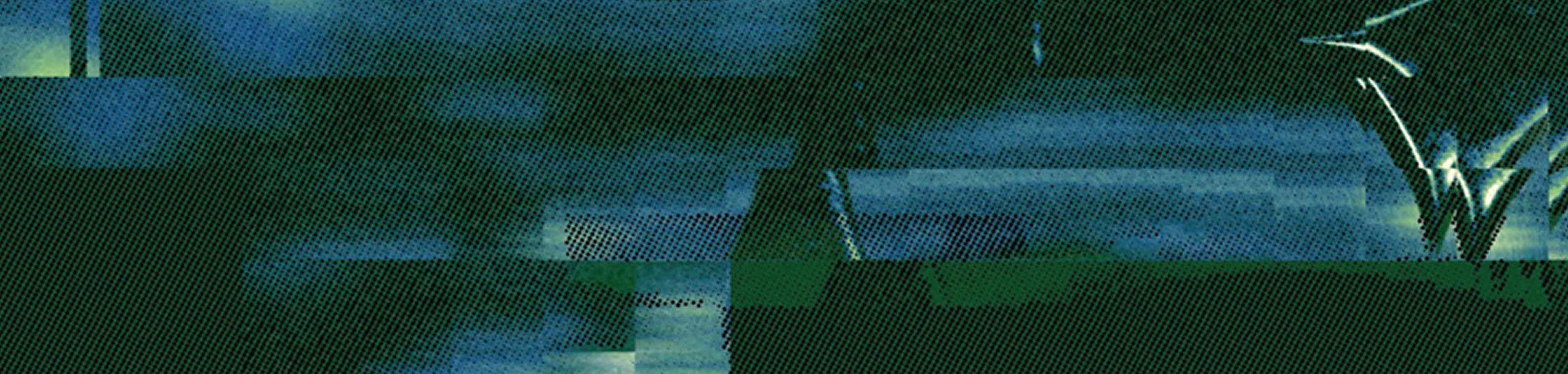 Footer Image