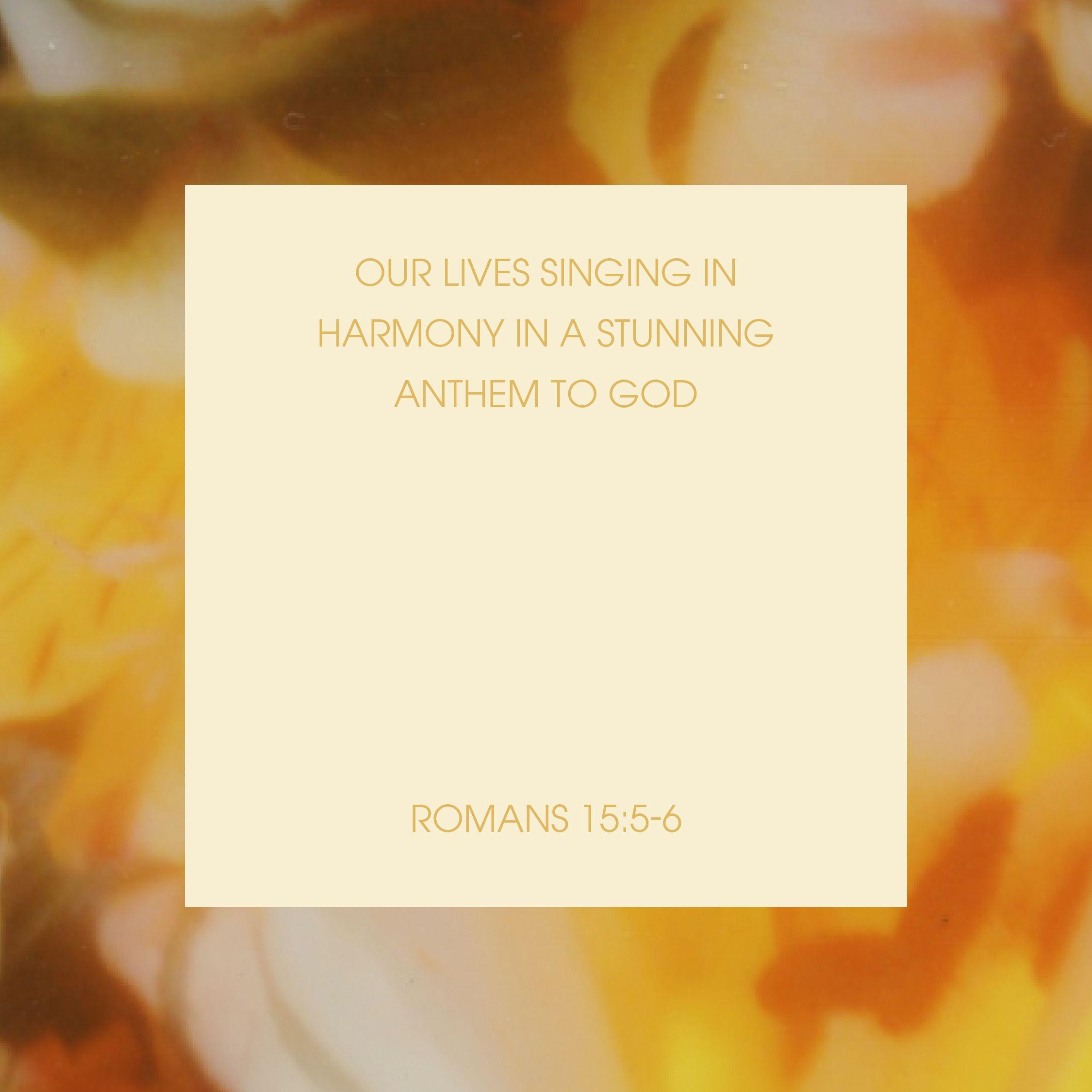 Slider Image 1